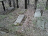 Cmentarz w lesie Kirkut