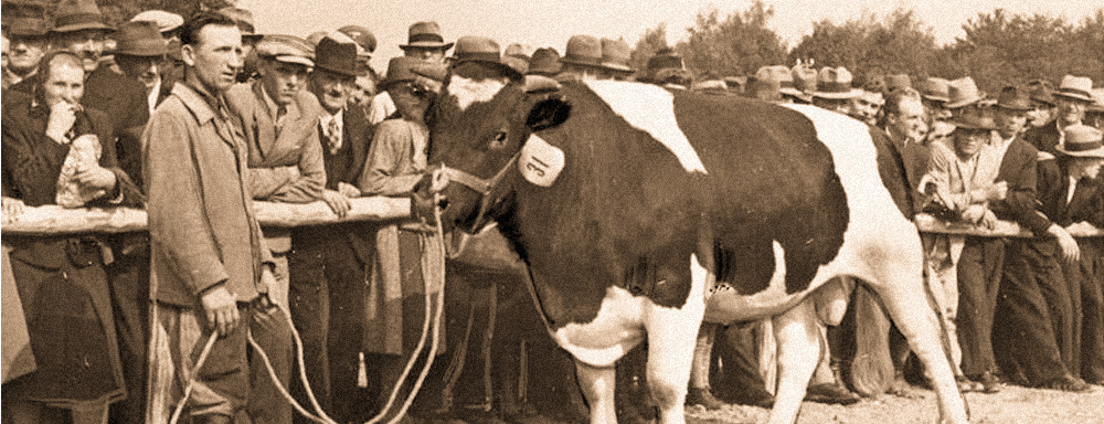 Fragment fotografii z wystawy rolniczej w Dębicy - 1943 r. Fotograf: Otto Rosner